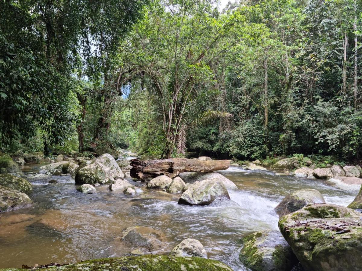 Recanto Da Margo 1, Casa Com Acesso A Cachoeira Paraty Buitenkant foto