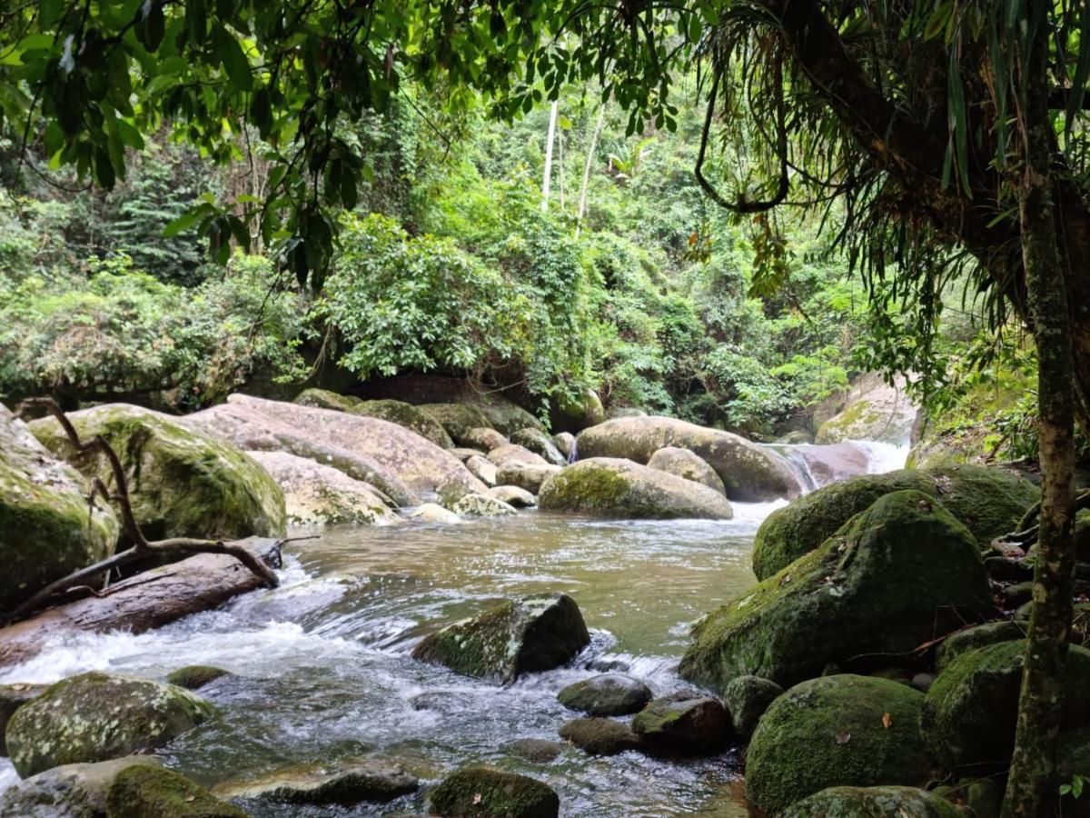 Recanto Da Margo 1, Casa Com Acesso A Cachoeira Paraty Buitenkant foto