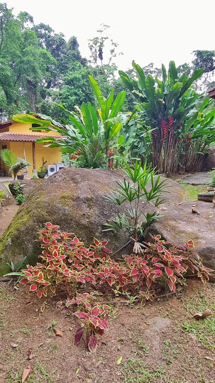Recanto Da Margo 1, Casa Com Acesso A Cachoeira Paraty Buitenkant foto